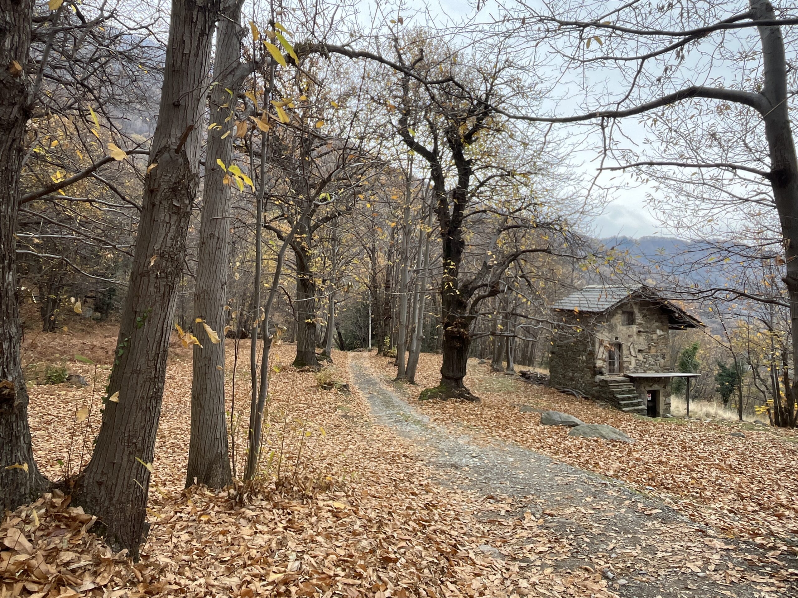 Tra rocce, boschi, pievi e castelli – Anello del Castagno da Montestrutto a Nomaglio